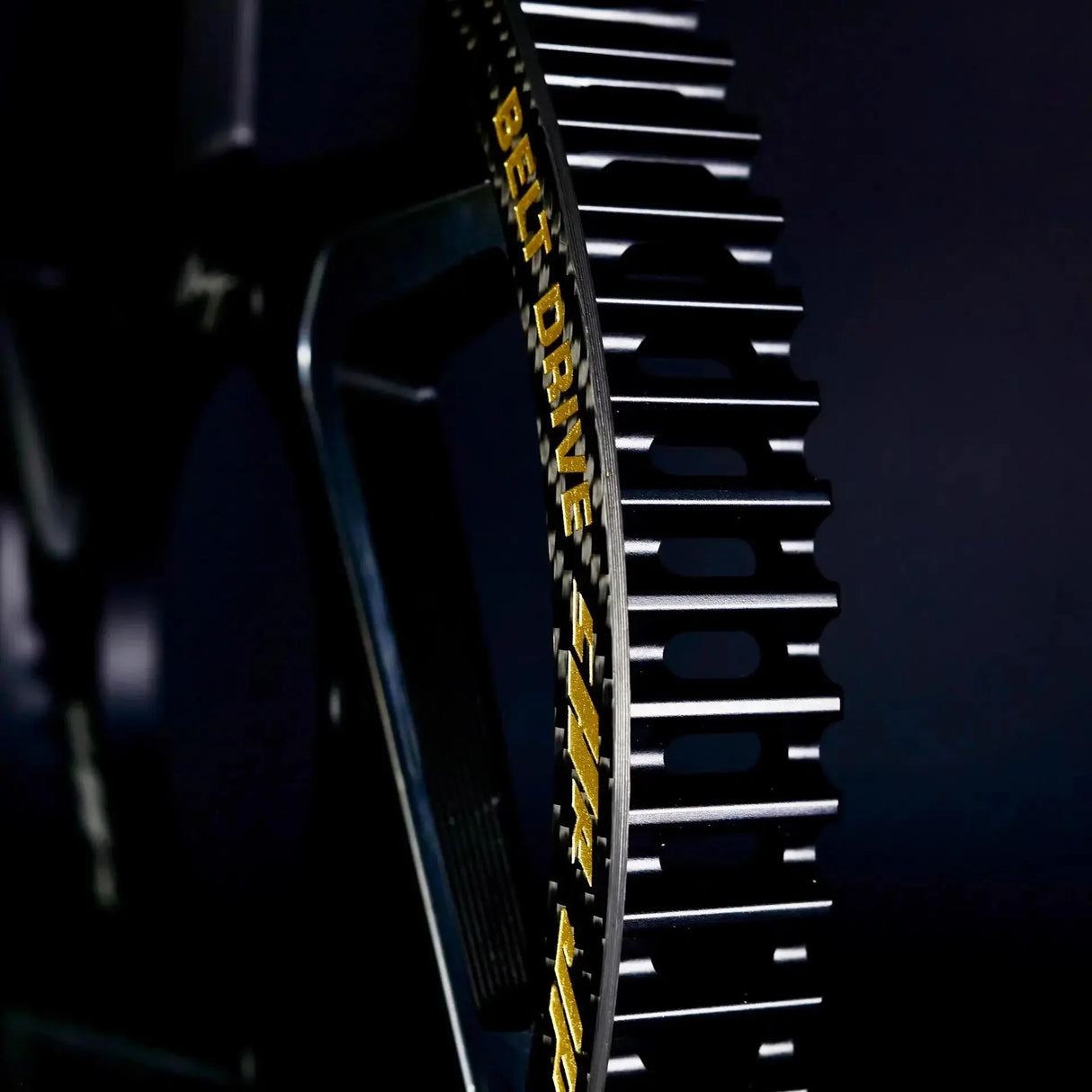 Ultra Bee Secondary Drive Belt SurRonshopsur ron, surron, sur ron x, surron x, sur ron buy, sur ron bee, sur ron light, sur ron light bee, sur ron x buy, sur ron bee x, sur ron x light, surron buy, sur ron light bee x, surron bee, surron price, e bike sur ron, surron frame, sur ron frame