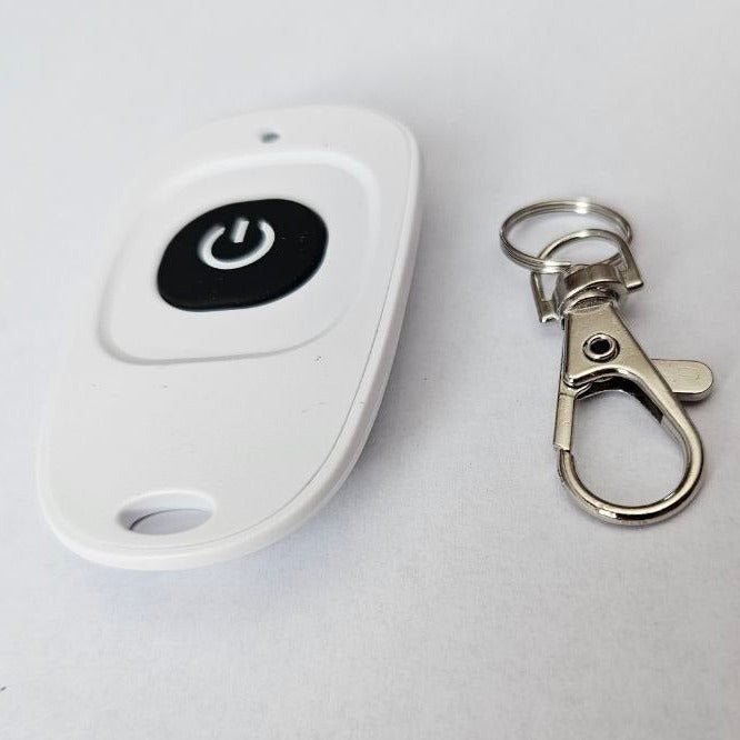 SurRonshop Remote Start