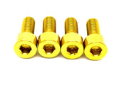 Titanium Bash Guard / Skid Plate Bolts - Surron LBX & E-Ride Pro SurRonshopsur ron, surron, sur ron x, surron x,  sur ron buy, sur ron bee, sur ron light, sur ron light bee, sur ron x buy, sur ron bee x, sur ron x light, surron buy, sur ron light bee x, surron bee, surron price, e bike sur ron, surron frame, sur ron frame