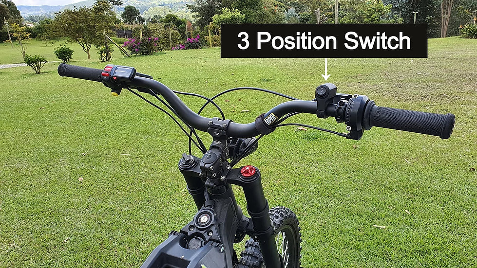Sur-Ron/Segway Electronic Power Pedal Kit