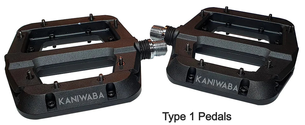 Sur-Ron/Segway Pedal Kit SurRonshopsur ron, surron, sur ron x, surron x,  sur ron buy, sur ron bee, sur ron light, sur ron light bee, sur ron x buy, sur ron bee x, sur ron x light, surron buy, sur ron light bee x, surron bee, surron price, e bike sur ron, surron frame, sur ron frame